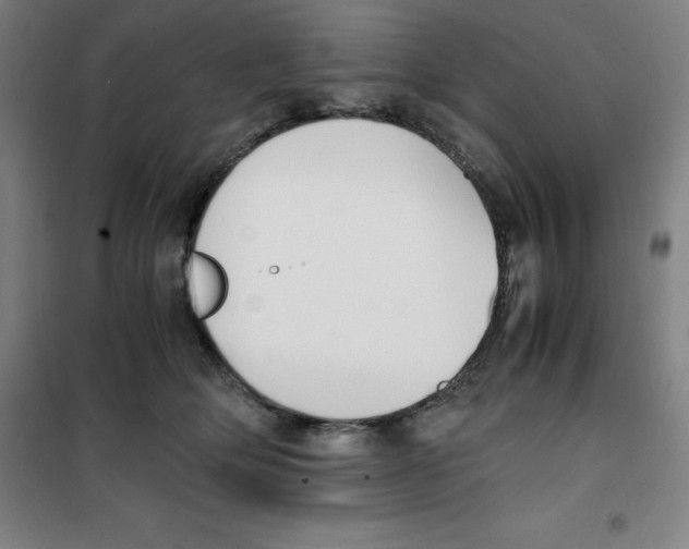 X0000100380514200807031928