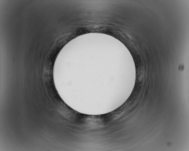 X0000100380515200807031928