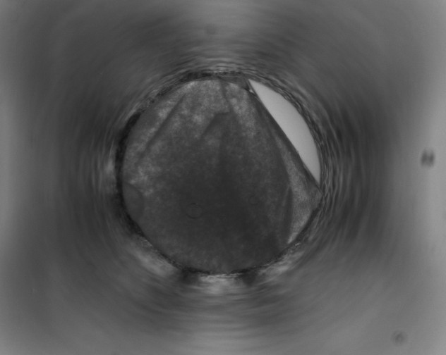 X0000100380516200807031928