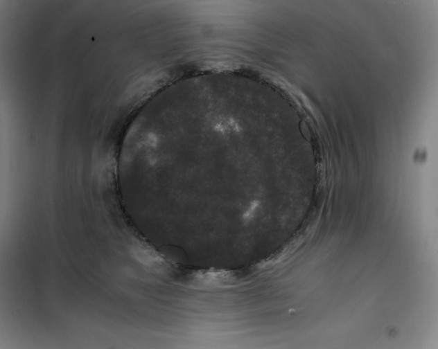X0000100380517200807031928
