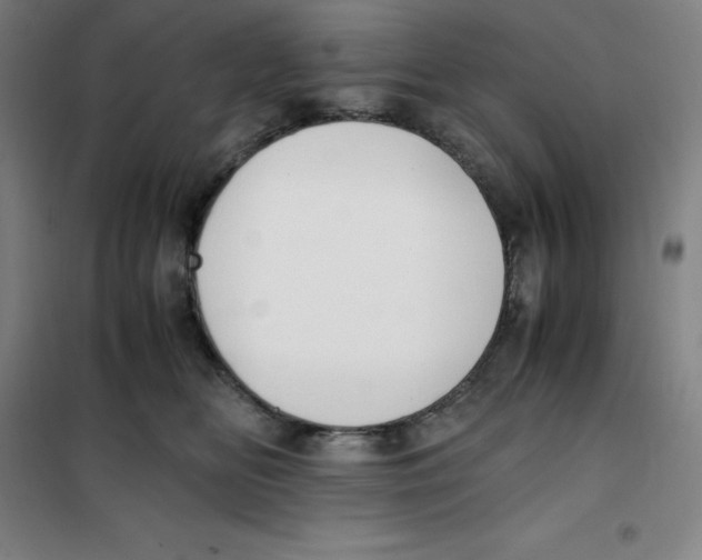 X0000100380518200807031928