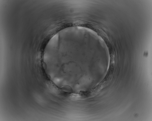X0000100380519200807031928