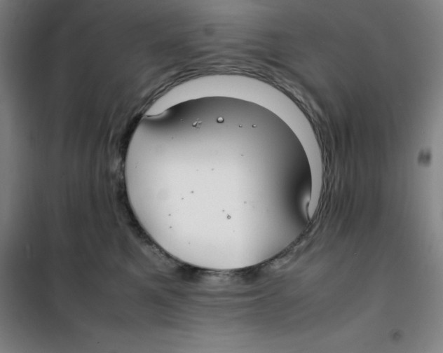 X0000100380521200807031928