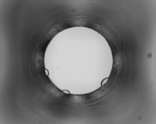 X0000100380522200807031928