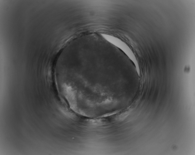 X0000100380524200807031928