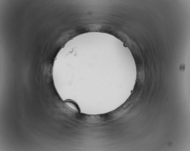 X0000100380525200807031928