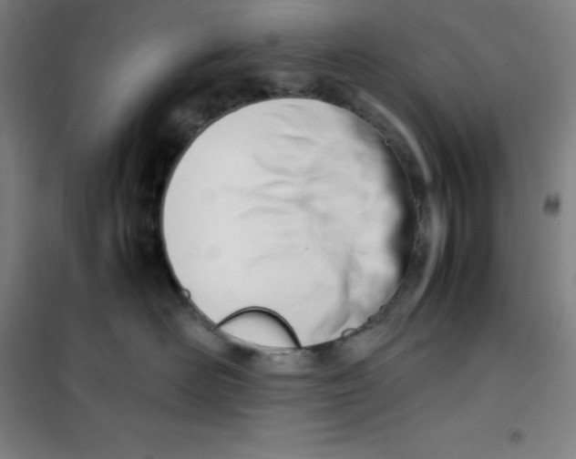 X0000100380526200807031928