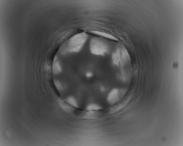 X0000100380527200807031928