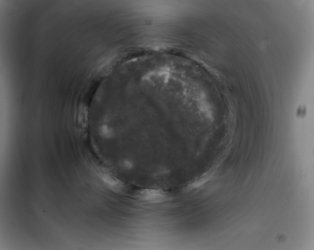 X0000100380528200807031928