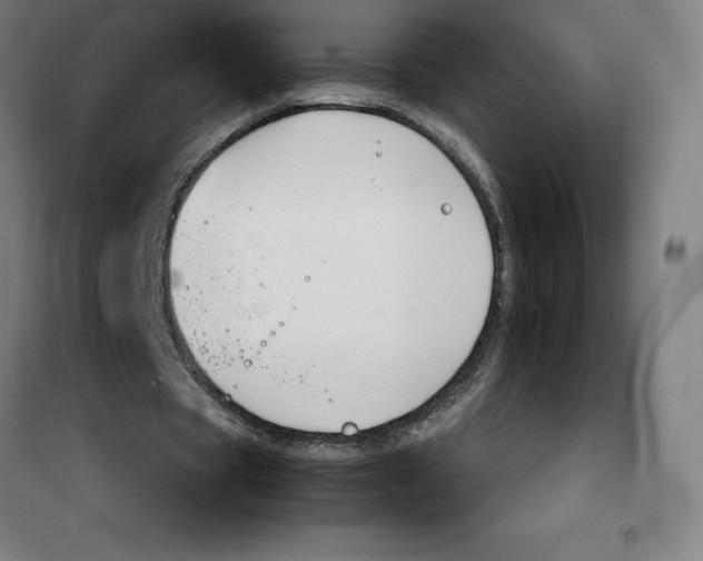 X0000100380529200807031927