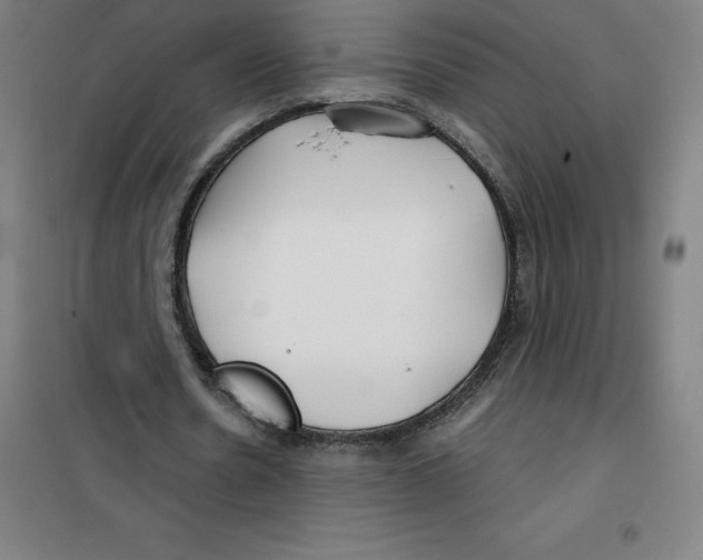 X0000100380530200807031927