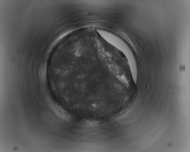 X0000100380531200807031927