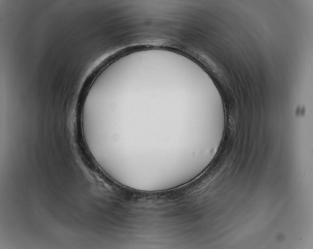 X0000100380532200807031927