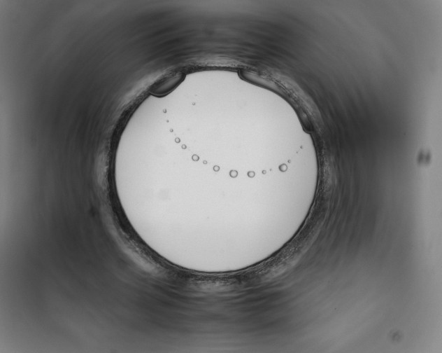 X0000100380533200807031927