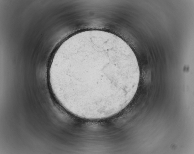 X0000100380534200807031927