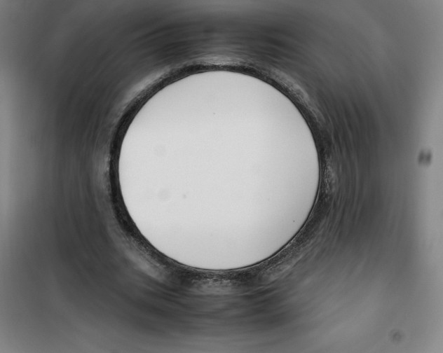 X0000100380535200807031927