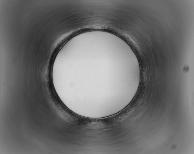 X0000100380536200807031927