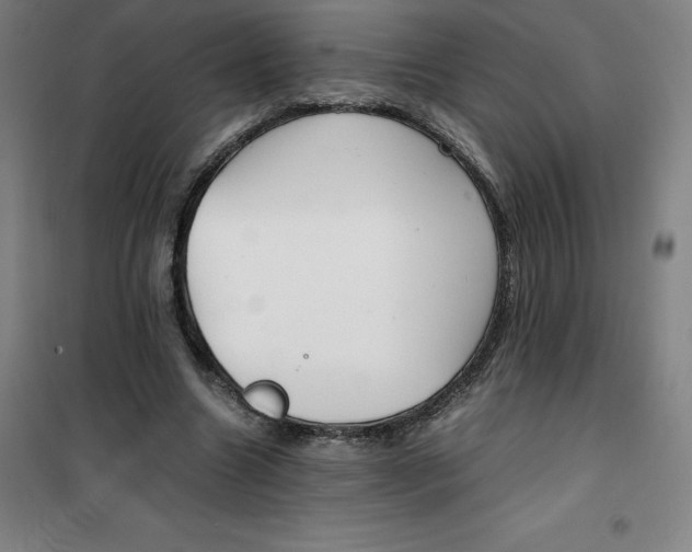 X0000100380538200807031927