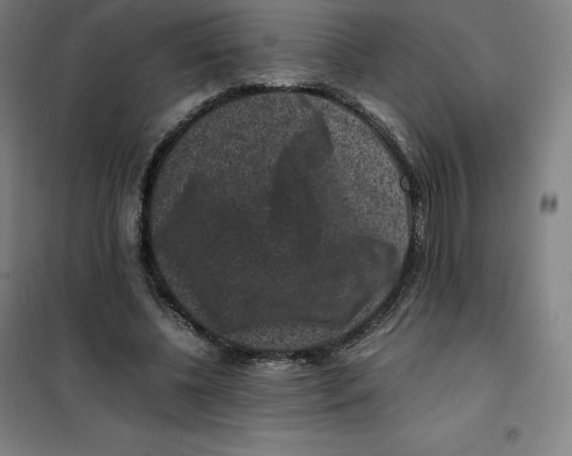 X0000100380540200807031927