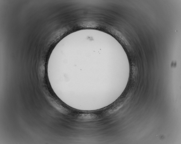 X0000100380541200807031927