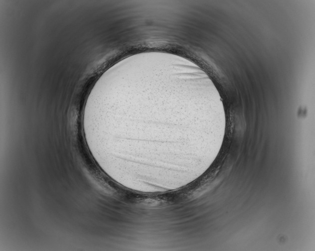 X0000100380542200807031927
