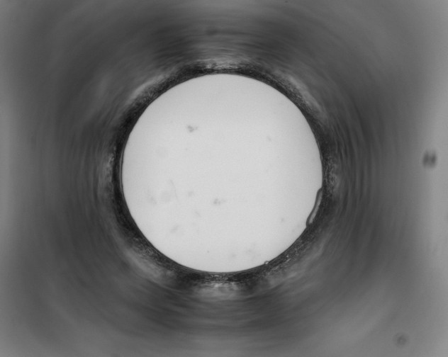 X0000100380543200807031927