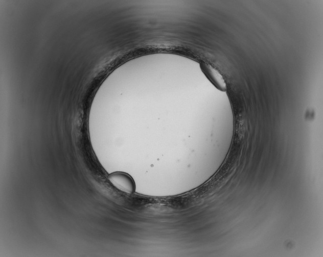X0000100380544200807031927