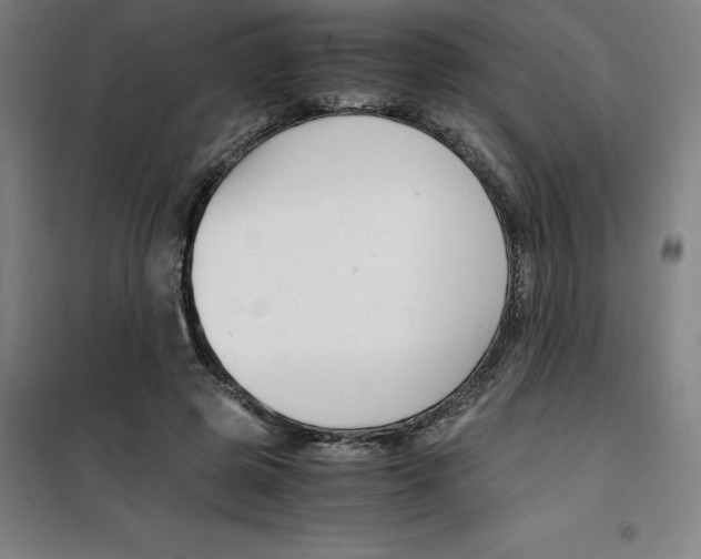 X0000100380545200807031927