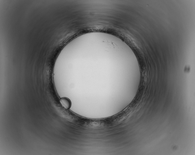 X0000100380546200807031927