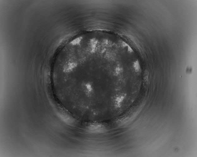 X0000100380547200807031927