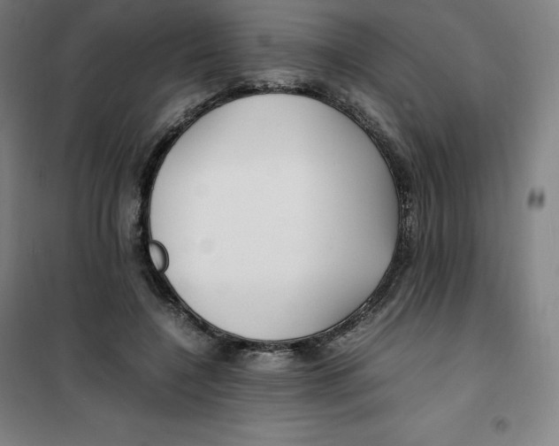 X0000100380548200807031927