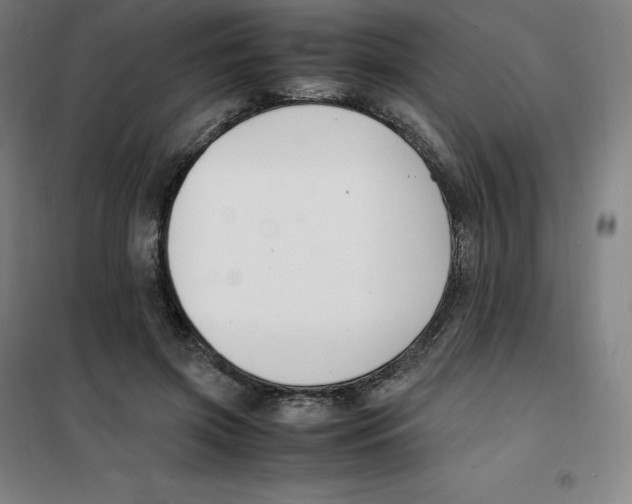 X0000100380549200807031927