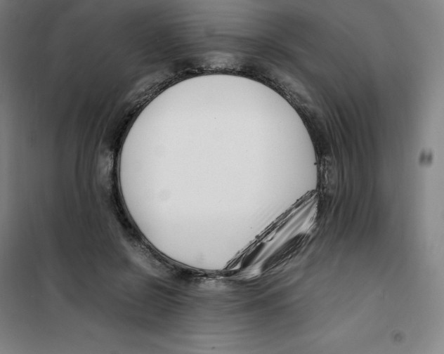 X0000100380550200807031927