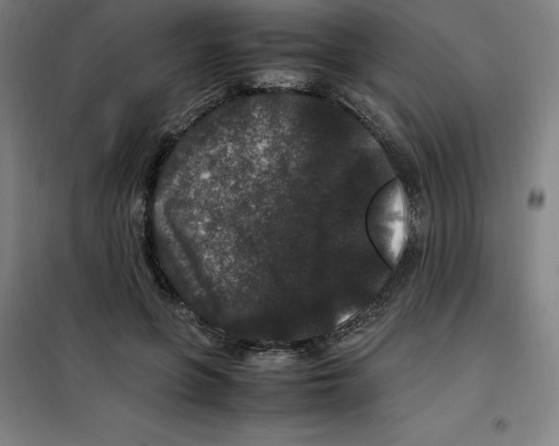 X0000100380551200807031928