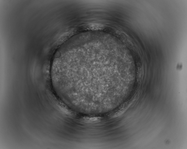 X0000100380553200807031928