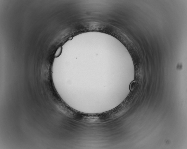 X0000100380554200807031928