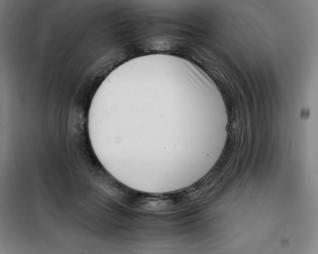 X0000100380555200807031928