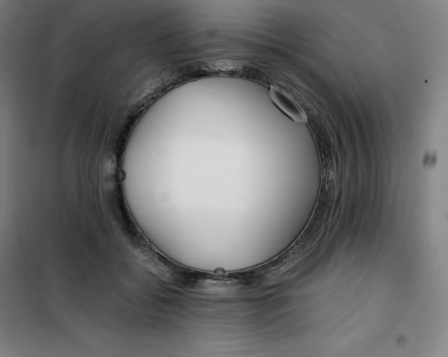 X0000100380556200807031928