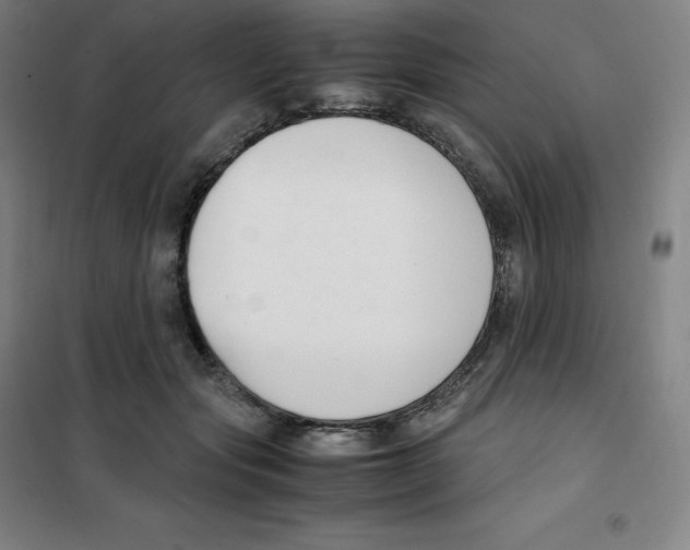 X0000100380557200807031928