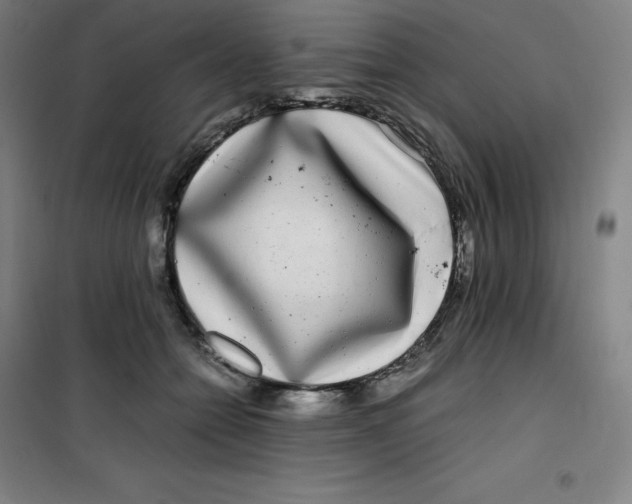 X0000100380558200807031928