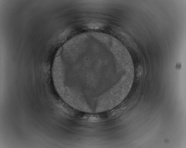 X0000100380559200807031928