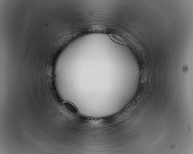 X0000100380560200807031928