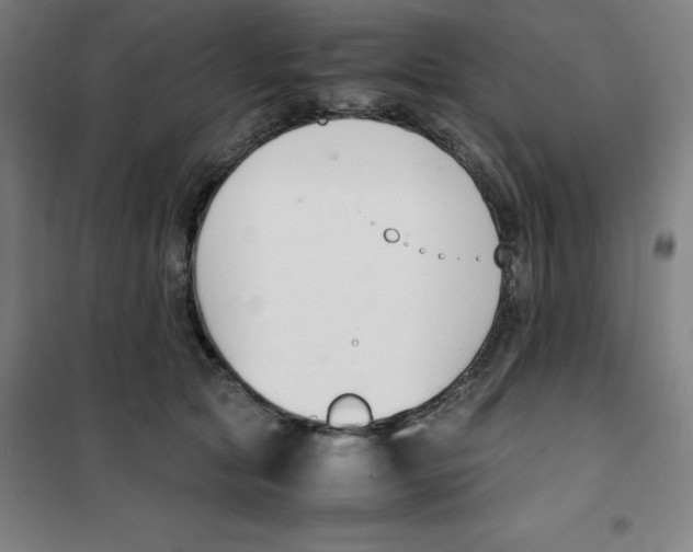 X0000100380561200807031928