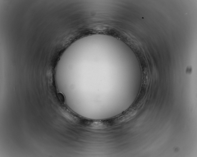 X0000100380562200807031928