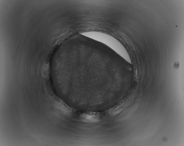 X0000100380563200807031928