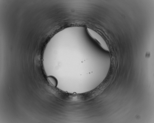 X0000100380564200807031928