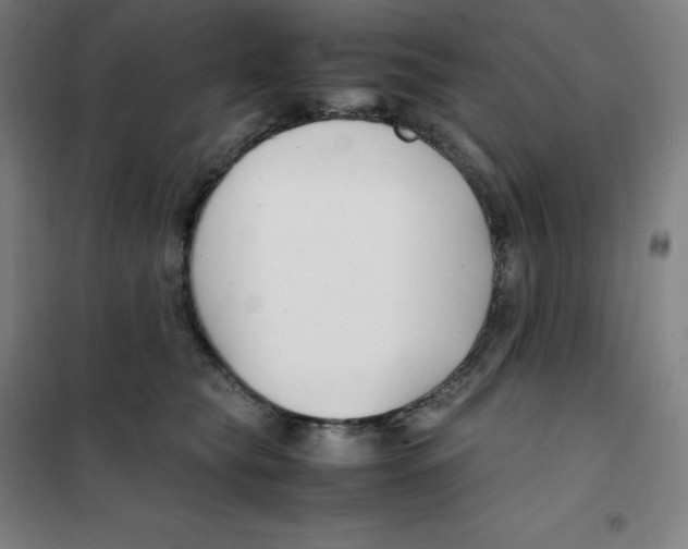 X0000100380565200807031928