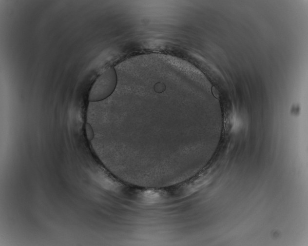 X0000100380566200807031928