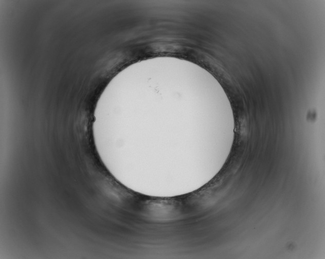 X0000100380567200807031928