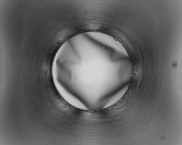 X0000100380568200807031928